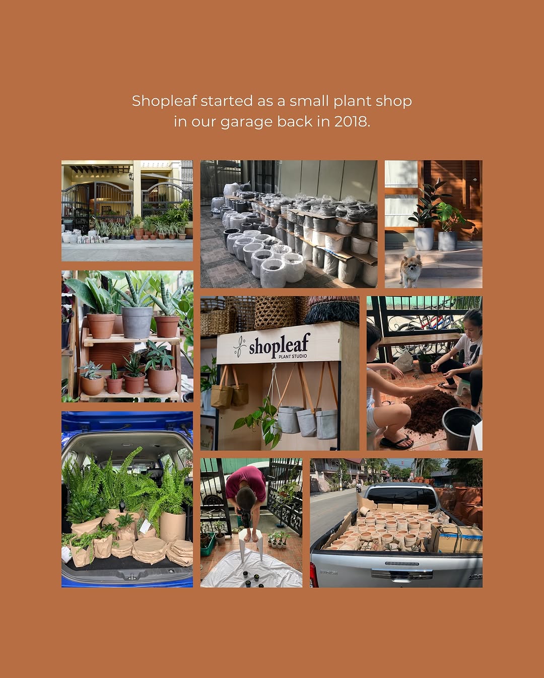 Shopleaf Plant Studio history — the roots of Our Little Cafe